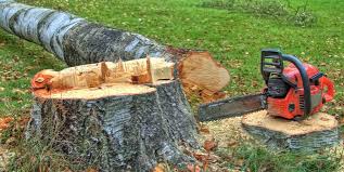 Best Leaf Removal  in Rochester, NY